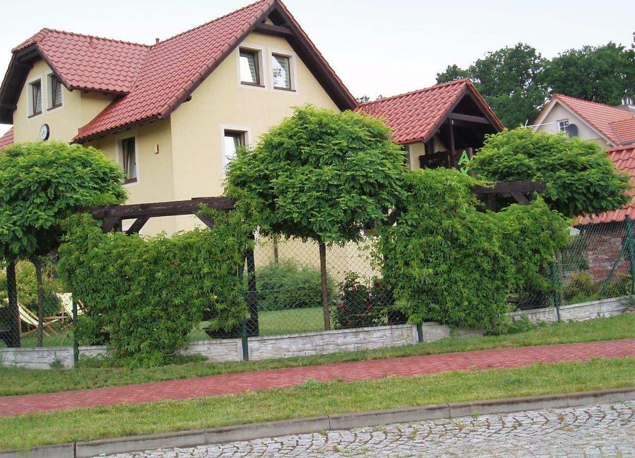 Willa Axla Z Weranda Ogrodem I Parkingiem Bad Kudowa Exterior foto
