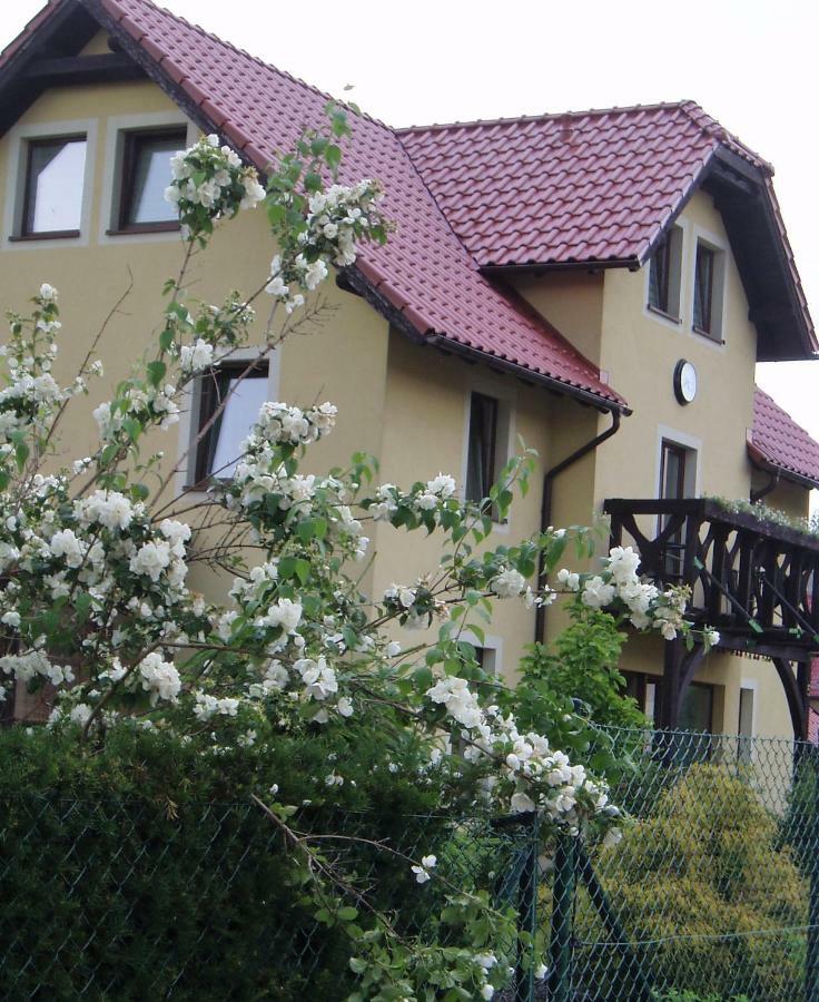 Willa Axla Z Weranda Ogrodem I Parkingiem Bad Kudowa Exterior foto